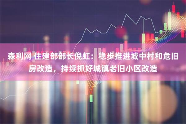 森利网 住建部部长倪虹：稳步推进城中村和危旧房改造，持续抓好城镇老旧小区改造