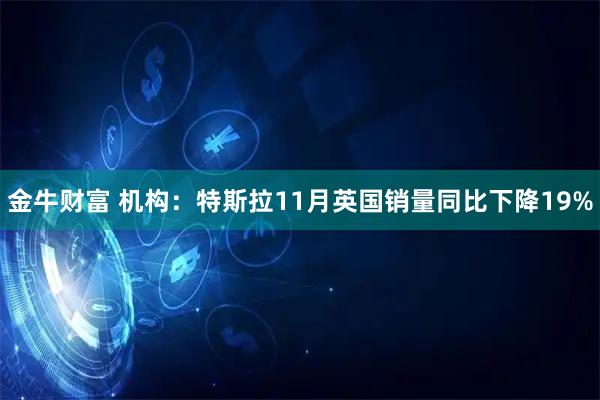 金牛财富 机构：特斯拉11月英国销量同比下降19%