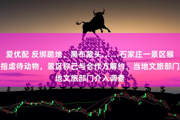 爱优配 反绑跪地、黑布蒙头……石家庄一景区猴戏表演被指虐待动物，景区称已与合作方解约，当地文旅部门介入调查
